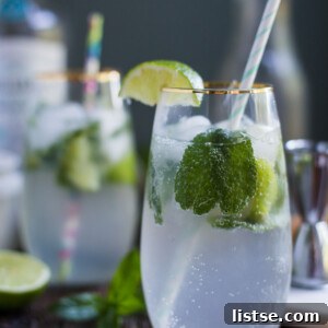 Stevia Sparkle Mojito 9 Mojito made with stevia extract