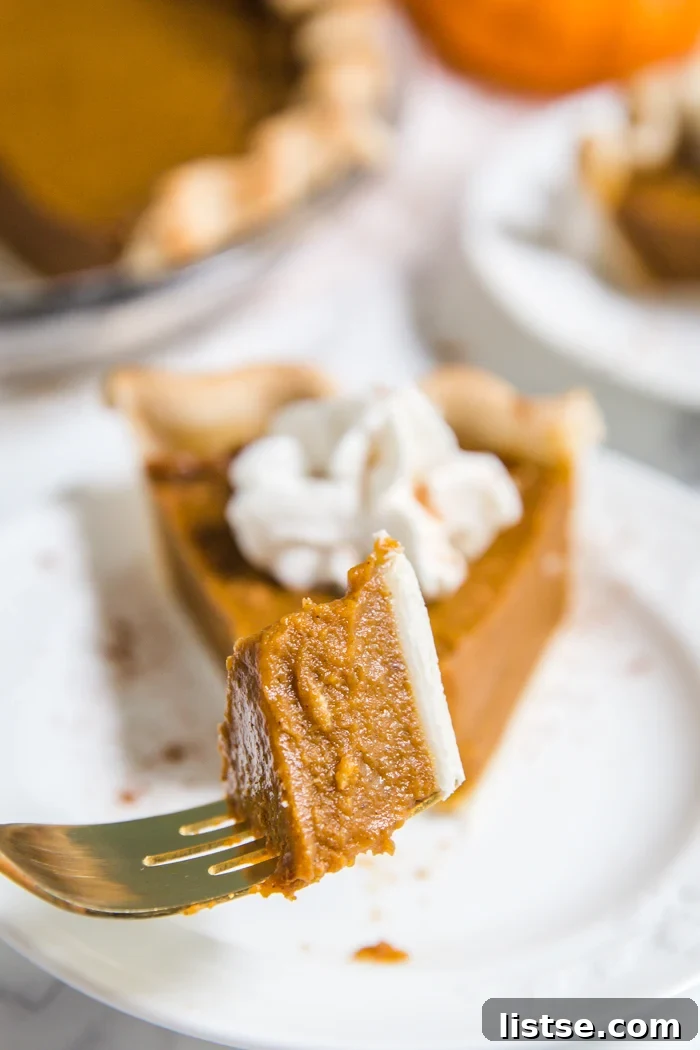 forkful of vegan pumpkin pie with the rest of the pie slice in the background with whipped cream on top