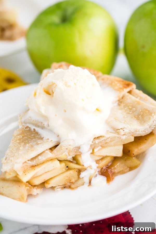Vegan Apple Pie- the crust is a coconut oil crust and the filling is simple, sweet, and DELICIOUS!!