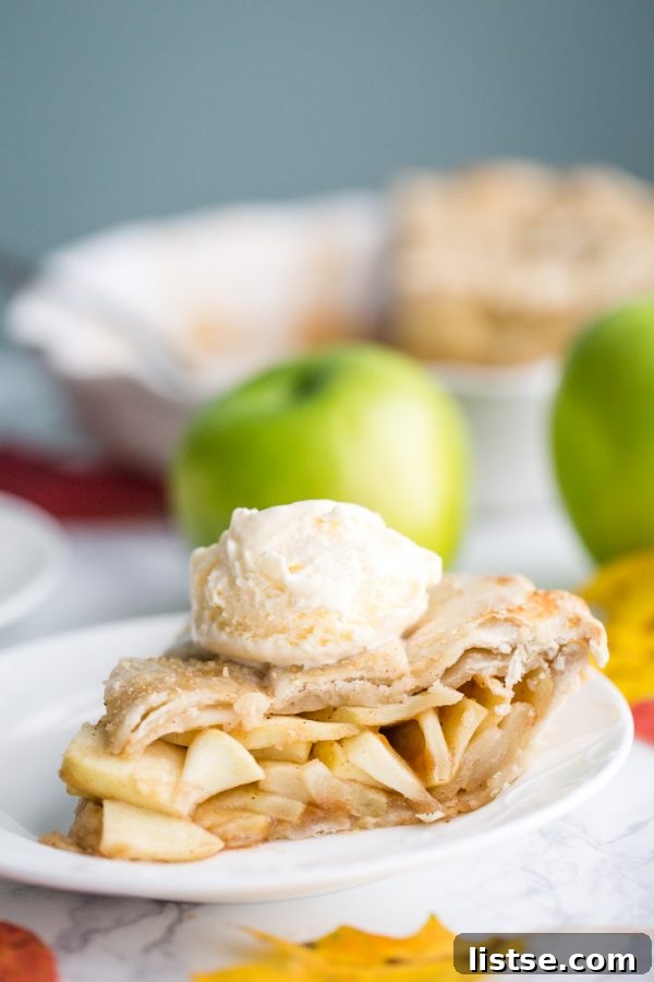Vegan Apple Pie- the crust is a coconut oil crust and the filling is simple, sweet, and DELICIOUS!!