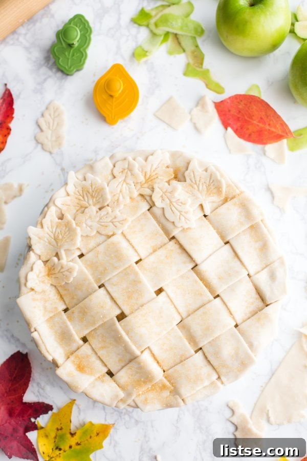 Vegan Apple Pie- the crust is a coconut oil crust and the filling is simple, sweet, and DELICIOUS!!