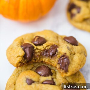 Stacked Vegan Chocolate Chip Pumpkin Cookies