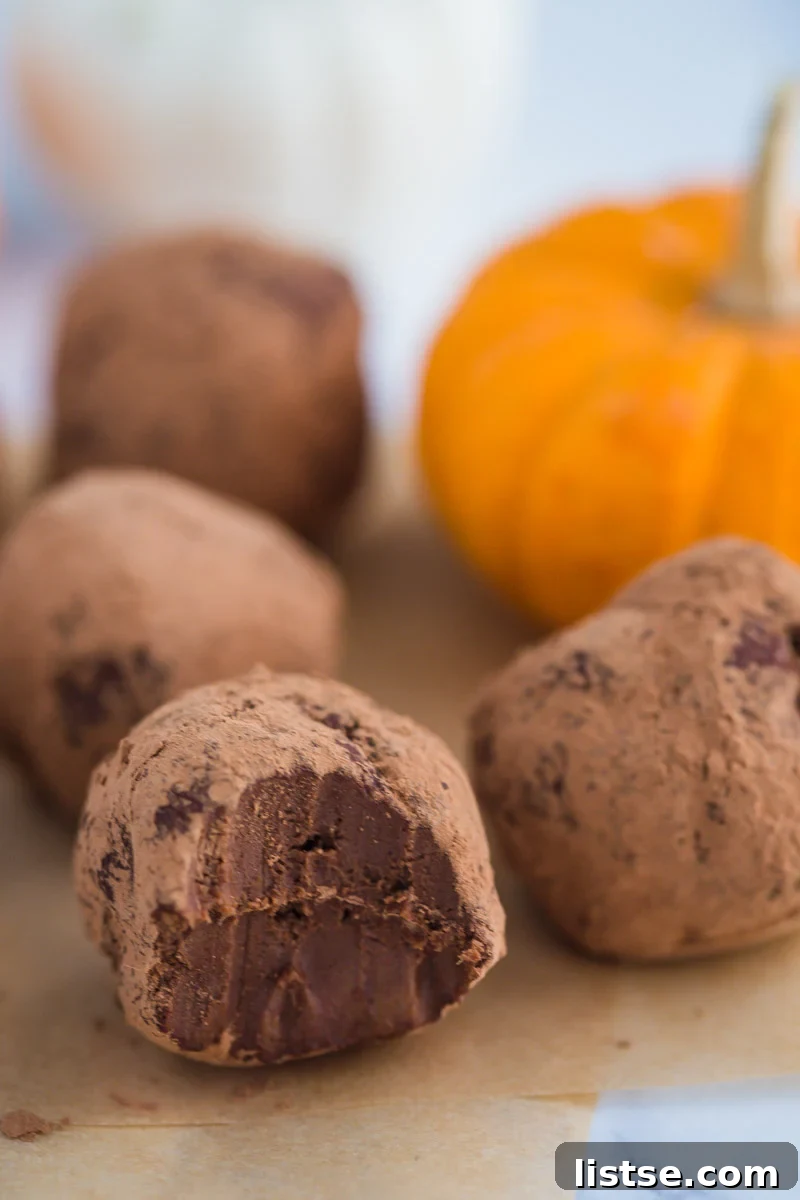 Dark Chocolate Pumpkin Truffles- the perfect fall dessert! These are super easy to throw together, no bake, and so very decadent. 