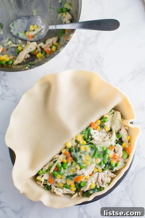 Dual Delights Pie Pan: Savory and Sweet 4 Close-up of the Chicken Pot Pie section of the Split Decision Pie Pan