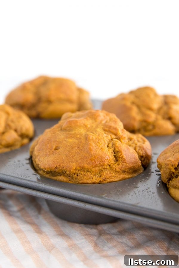 Close-up of a stack of fluffy vegan pumpkin muffins