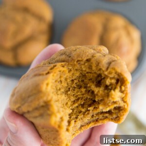 Vegan Pumpkin Muffins thumbnail