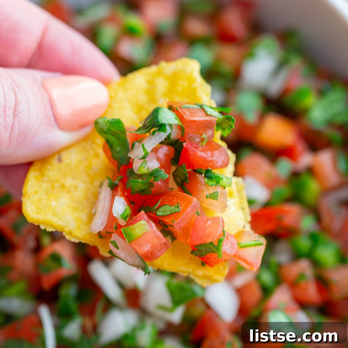 Crafting Perfect Pico de Gallo 5 img 49708 4