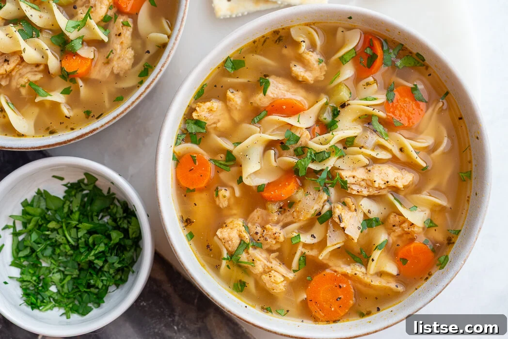 Quick and Cozy Vegan "Chicken" Noodle Soup 2 A large bowl of Vegetarian Chicken Noodle Soup made with soy curls, garnished with fresh parsley.