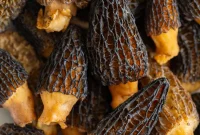 Pan-Sautéed Morel Mushrooms with Garlic and Thyme